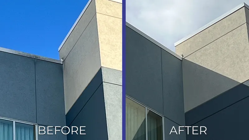 Drone Roof Cleaning Before and After
